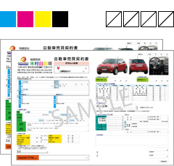 表/ カラー × 裏/ 印刷なし SAMPLE